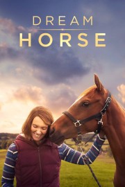 watch Dream Horse free online