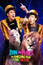 watch Dan and Phil's The Amazing Tour is Not on Fire free online