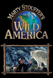 watch Wild America free online