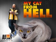 watch My Cat from Hell free online