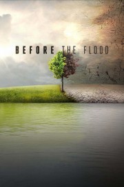 watch Before the Flood free online