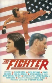 watch The Fighter free online