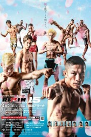 watch Rizin 15 - Yokohama free online