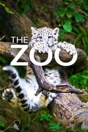 watch The Zoo free online