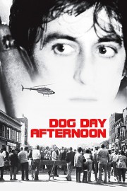 watch Dog Day Afternoon free online