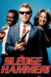 watch Sledge Hammer! free online