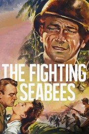 watch The Fighting Seabees free online