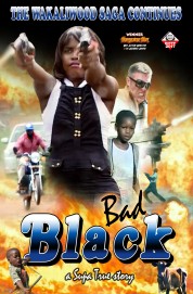 watch Bad Black free online