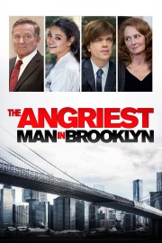 watch The Angriest Man in Brooklyn free online