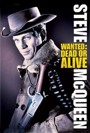 watch Wanted: Dead or Alive free online