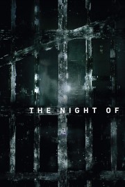 watch The Night Of free online