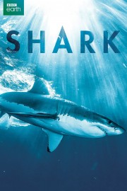 watch Shark free online