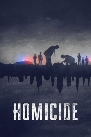 watch Homicide free online