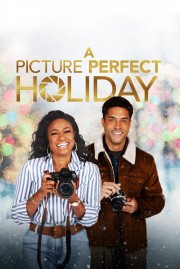 watch A Picture Perfect Holiday free online