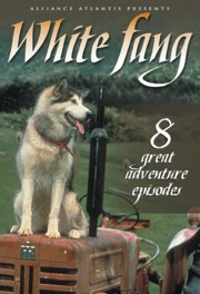 watch White Fang free online