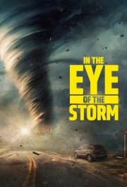 watch In the Eye of the Storm free online