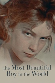 watch The Most Beautiful Boy in the World free online