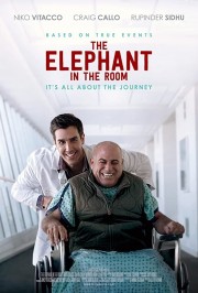 watch The Elephant In The Room free online