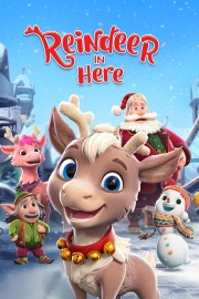 watch Reindeer in Here free online