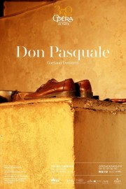 watch Donizetti: Don Pasquale free online