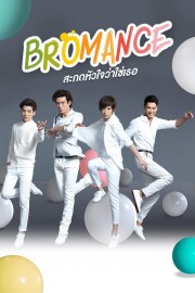 watch Bromance free online