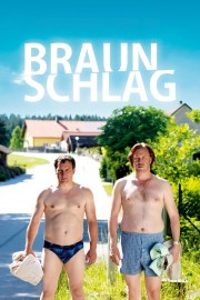 watch Braunschlag free online