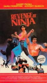 watch Revenge of the Ninja free online