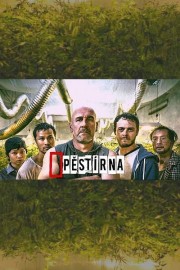 watch Pěstírna free online