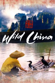 watch Wild China free online