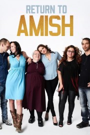 watch Return to Amish free online