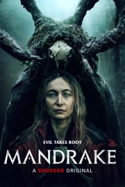 watch Mandrake free online