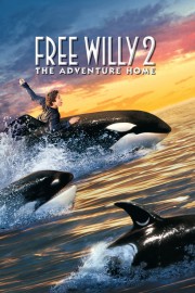 watch Free Willy 2: The Adventure Home free online