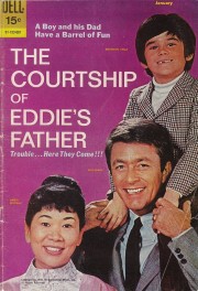 watch The Courtship of Eddie's Father free online