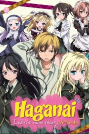 watch Haganai: I Don't Have Many Friends free online