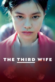 watch The Third Wife free online