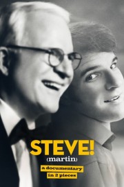 watch STEVE! (martin) a documentary in 2 pieces free online