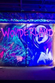 watch Wonderland free online