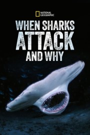 watch When Sharks Attack... and Why free online