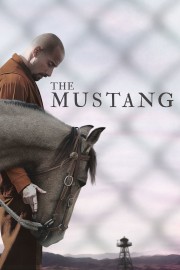 watch The Mustang free online