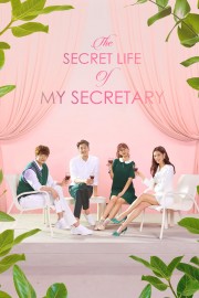 watch The Secret Life of My Secretary free online