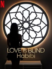 watch Love Is Blind, Habibi free online