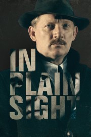 watch In Plain Sight free online