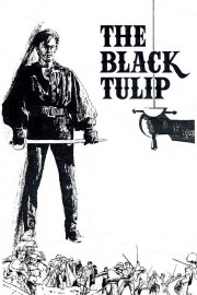 watch The Black Tulip free online