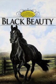 watch Black Beauty free online