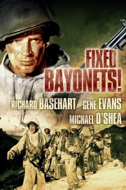 watch Fixed Bayonets! free online