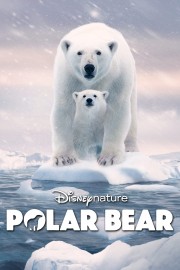 watch Polar Bear free online