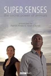 watch Super Senses: The Secret Power of Animals free online