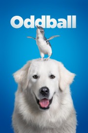 watch Oddball free online