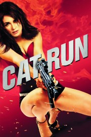 watch Cat Run free online