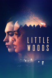 watch Little Woods free online